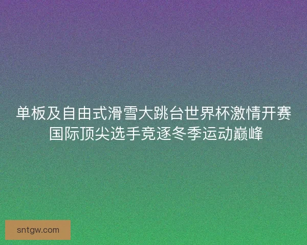 单板及自由式滑雪大跳台世界杯激情开赛 国际顶尖选手竞逐冬季运动巅峰